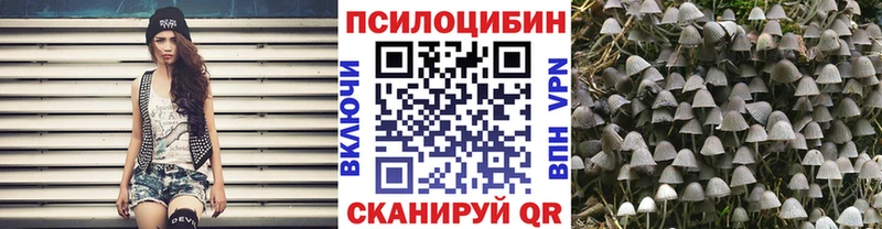 Псилоцибиновые грибы прущие грибы Закаменск